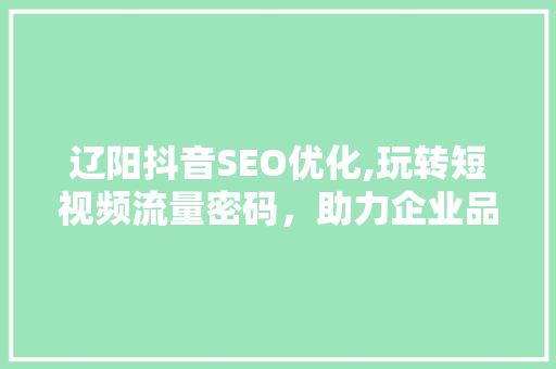 辽阳抖音SEO优化,玩转短视频流量密码，助力企业品牌腾飞 WordPress教程
