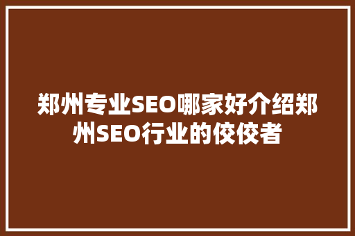 郑州专业SEO哪家好介绍郑州SEO行业的佼佼者