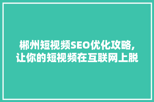 郴州短视频SEO优化攻略,让你的短视频在互联网上脱颖而出