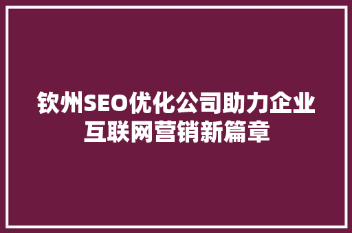 钦州SEO优化公司助力企业互联网营销新篇章