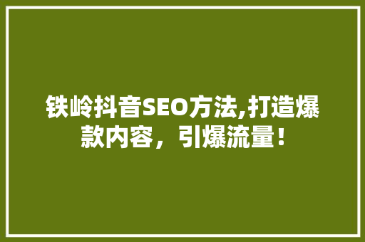 铁岭抖音SEO方法,打造爆款内容，引爆流量！