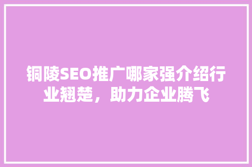 铜陵SEO推广哪家强介绍行业翘楚，助力企业腾飞