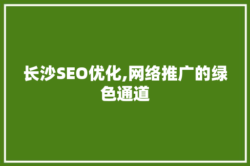 长沙SEO优化,网络推广的绿色通道