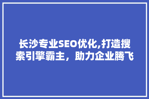 长沙专业SEO优化,打造搜索引擎霸主，助力企业腾飞