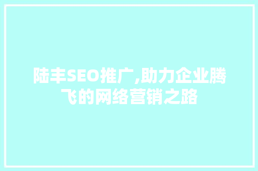 陆丰SEO推广,助力企业腾飞的网络营销之路