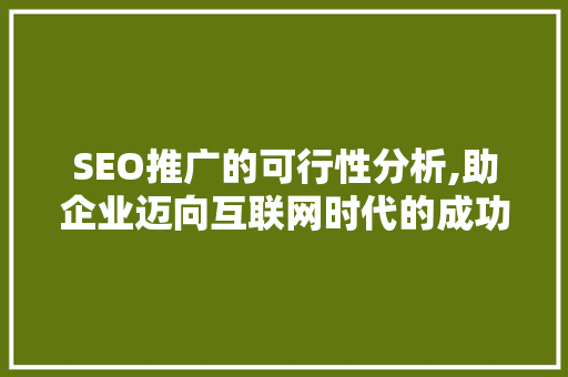 SEO推广的可行性分析,助企业迈向互联网时代的成功之路