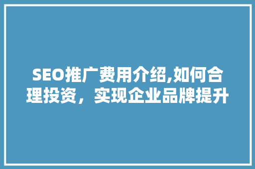 SEO推广费用介绍,如何合理投资，实现企业品牌提升