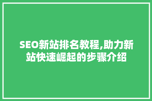 SEO新站排名教程,助力新站快速崛起的步骤介绍