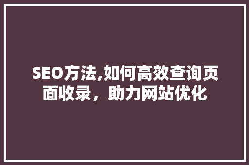 SEO方法,如何高效查询页面收录，助力网站优化