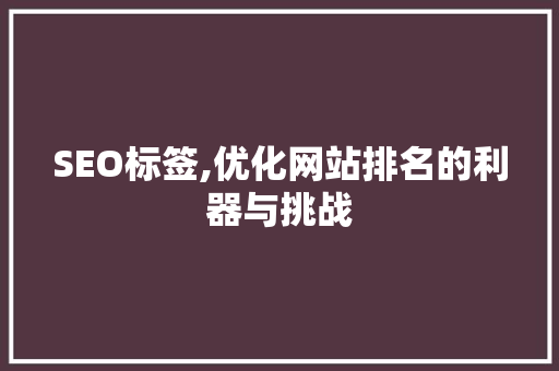 SEO标签,优化网站排名的利器与挑战 Web前端