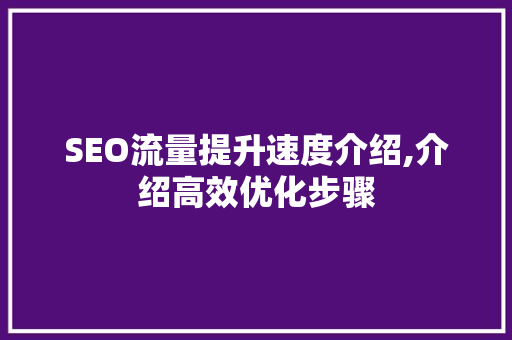 SEO流量提升速度介绍,介绍高效优化步骤