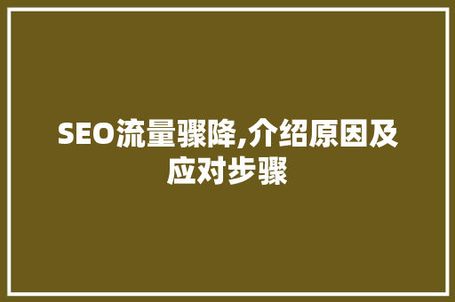SEO流量骤降,介绍原因及应对步骤