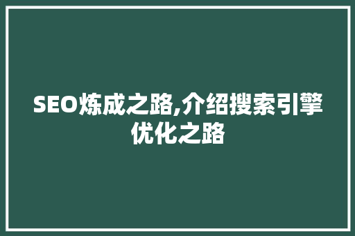 SEO炼成之路,介绍搜索引擎优化之路