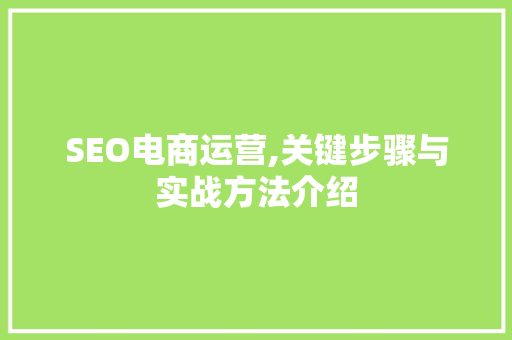 SEO电商运营,关键步骤与实战方法介绍