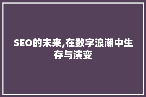 SEO的未来,在数字浪潮中生存与演变