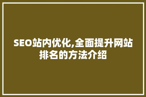 SEO站内优化,全面提升网站排名的方法介绍