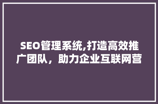 SEO管理系统,打造高效推广团队，助力企业互联网营销