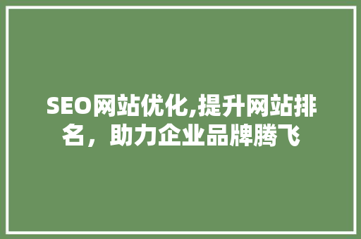 SEO网站优化,提升网站排名，助力企业品牌腾飞
