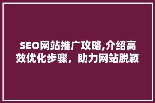 SEO网站推广攻略,介绍高效优化步骤，助力网站脱颖而出