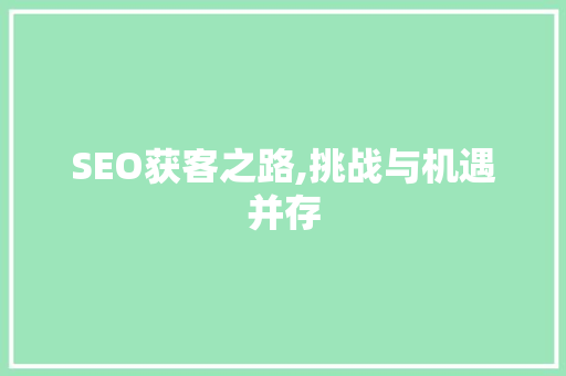 SEO获客之路,挑战与机遇并存
