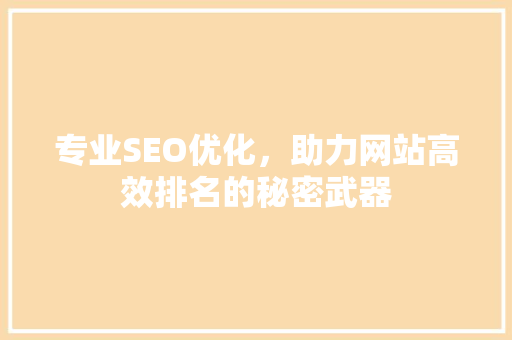 专业SEO优化，助力网站高效排名的秘密武器