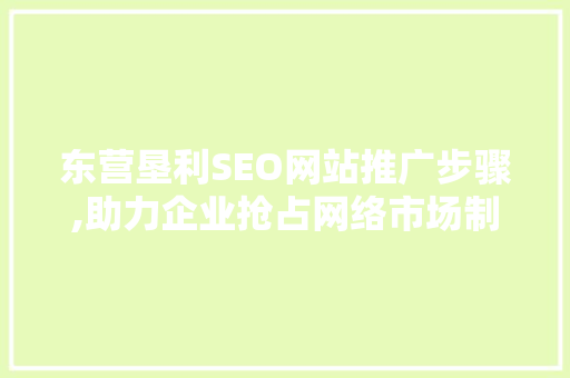东营垦利SEO网站推广步骤,助力企业抢占网络市场制高点