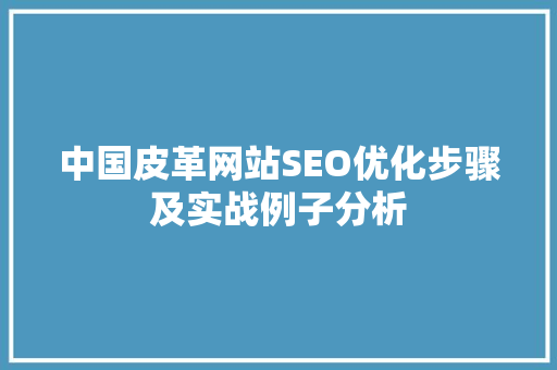 中国皮革网站SEO优化步骤及实战例子分析