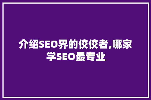 介绍SEO界的佼佼者,哪家学SEO最专业