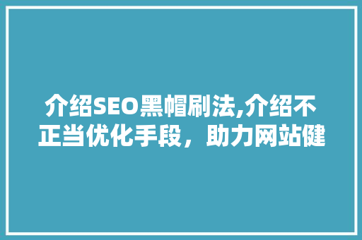 介绍SEO黑帽刷法,介绍不正当优化手段，助力网站健康成长