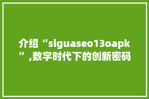 介绍“siguaseo13oapk”,数字时代下的创新密码