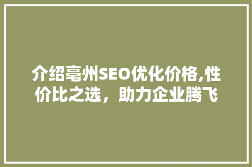 介绍亳州SEO优化价格,性价比之选，助力企业腾飞