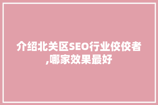 介绍北关区SEO行业佼佼者,哪家效果最好