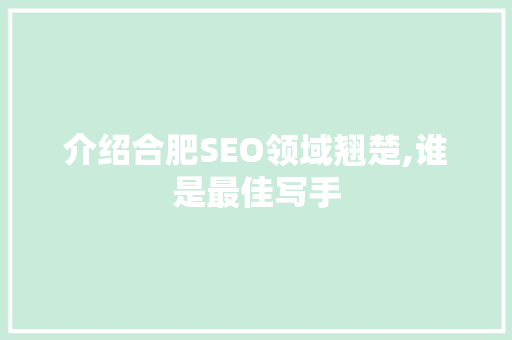 介绍合肥SEO领域翘楚,谁是最佳写手