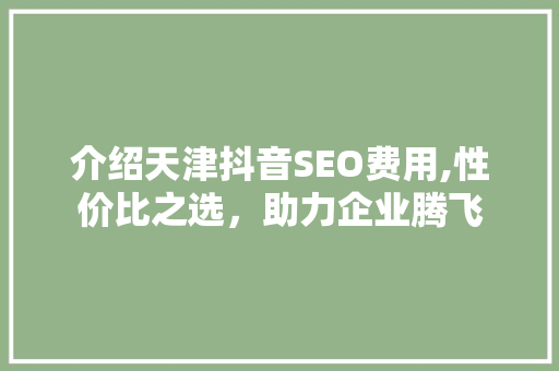 介绍天津抖音SEO费用,性价比之选，助力企业腾飞
