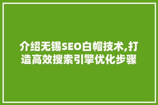 介绍无锡SEO白帽技术,打造高效搜索引擎优化步骤 友链在线