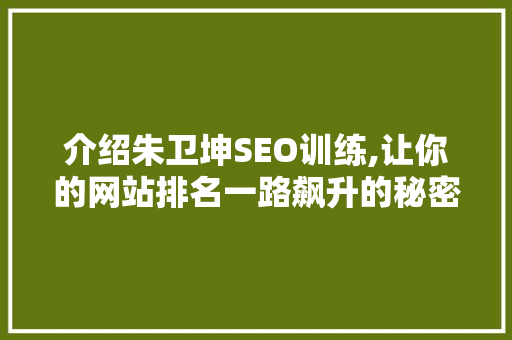 介绍朱卫坤SEO训练,让你的网站排名一路飙升的秘密武器