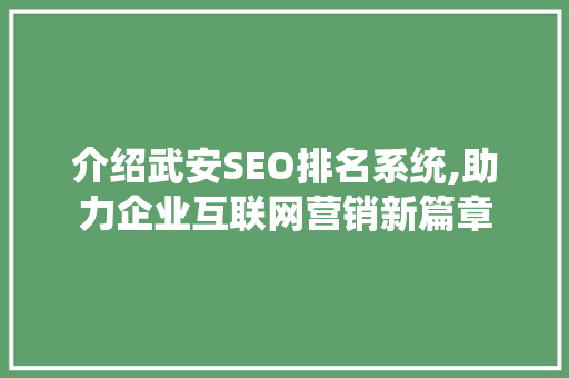 介绍武安SEO排名系统,助力企业互联网营销新篇章 建站教程