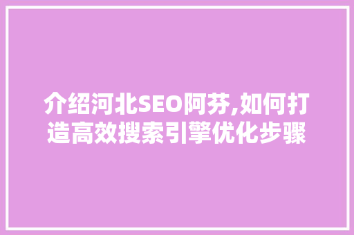 介绍河北SEO阿芬,如何打造高效搜索引擎优化步骤