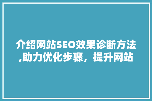 介绍网站SEO效果诊断方法,助力优化步骤，提升网站排名
