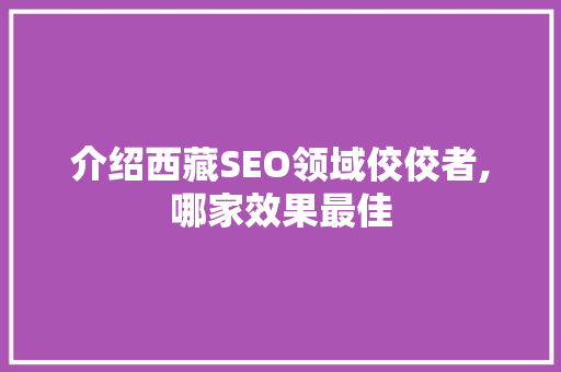 介绍西藏SEO领域佼佼者,哪家效果最佳