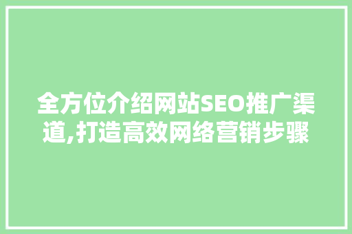 全方位介绍网站SEO推广渠道,打造高效网络营销步骤