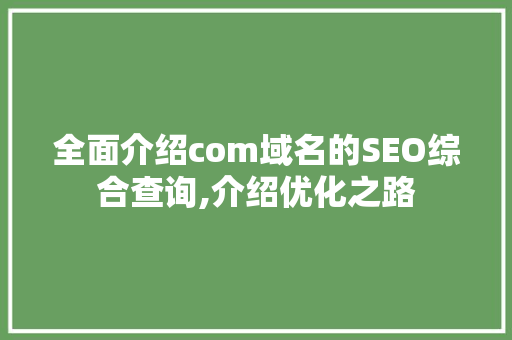 全面介绍com域名的SEO综合查询,介绍优化之路