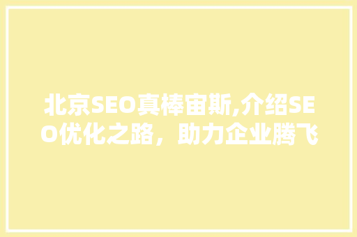 北京SEO真棒宙斯,介绍SEO优化之路，助力企业腾飞