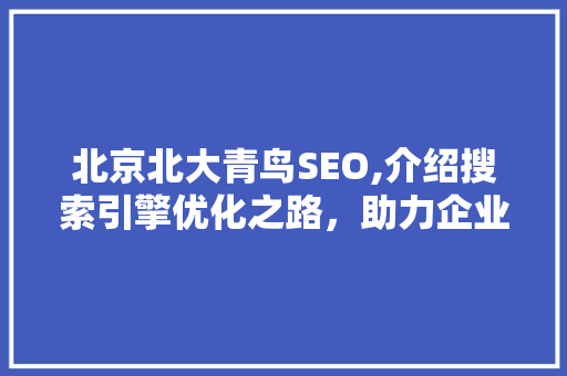 北京北大青鸟SEO,介绍搜索引擎优化之路，助力企业提升品牌影响力