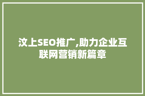汶上SEO推广,助力企业互联网营销新篇章