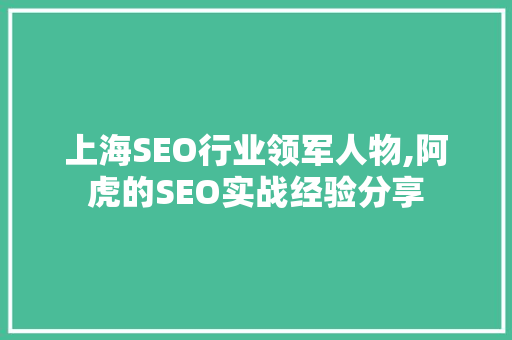 上海SEO行业领军人物,阿虎的SEO实战经验分享
