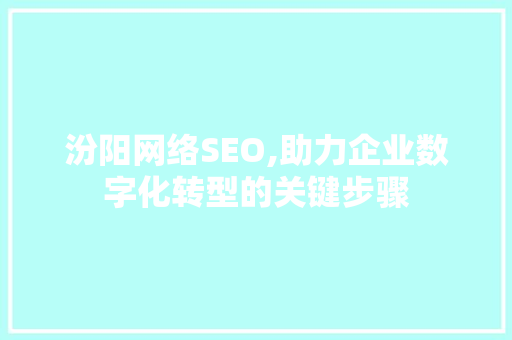 汾阳网络SEO,助力企业数字化转型的关键步骤