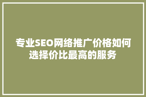 专业SEO网络推广价格如何选择价比最高的服务