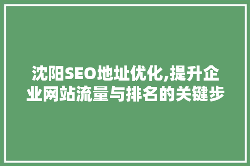 沈阳SEO地址优化,提升企业网站流量与排名的关键步骤