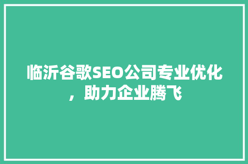 临沂谷歌SEO公司专业优化，助力企业腾飞